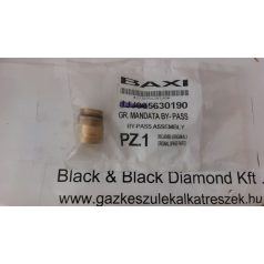 Baxi by-pass idom 